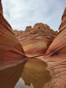 the wave