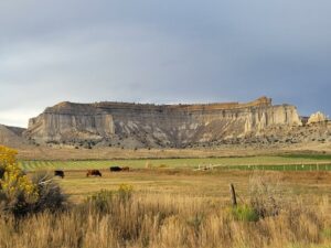 southwest (6)